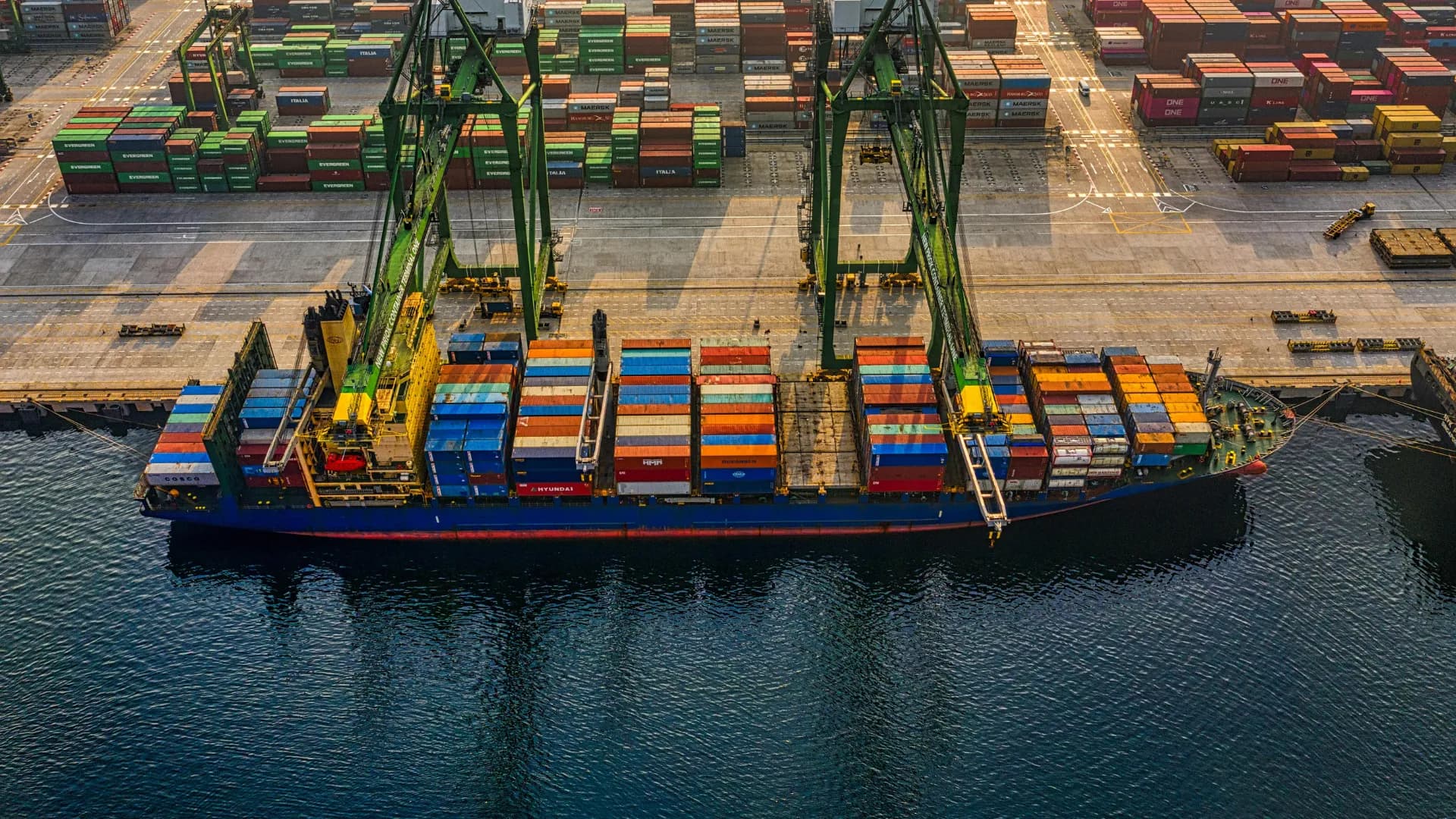 Ocean Freight (FCL & LCL)